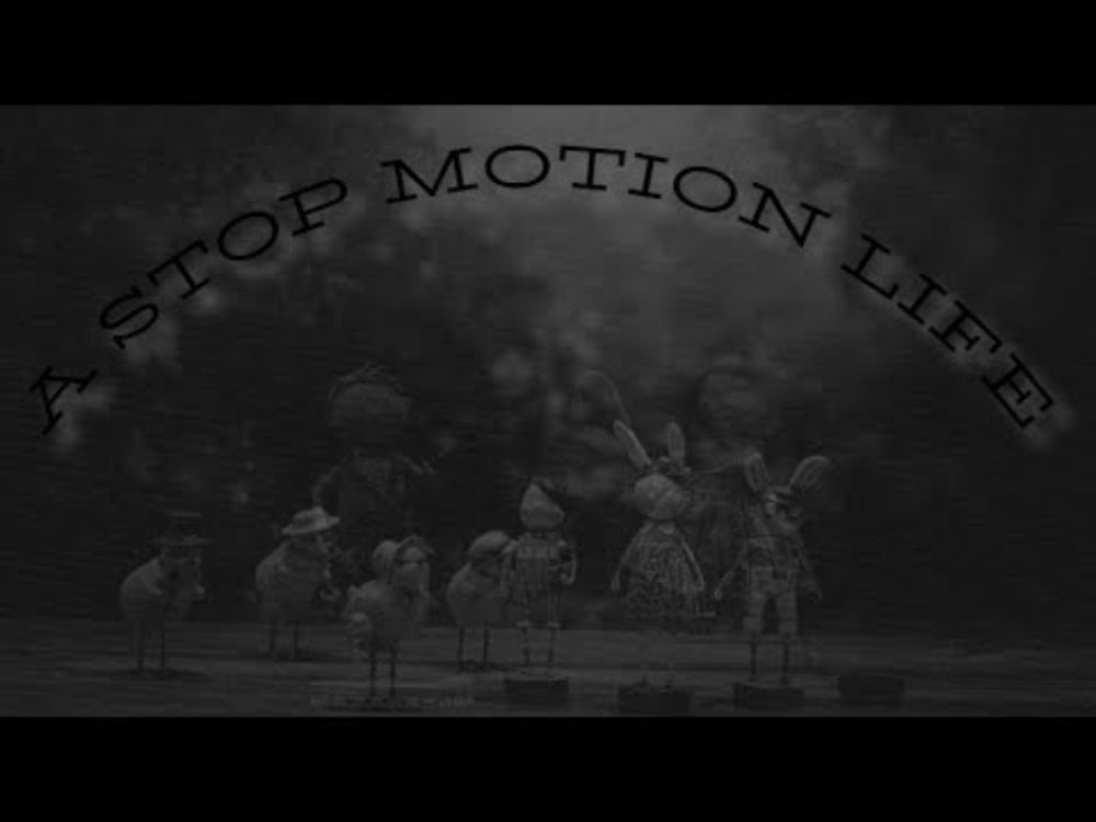 A STOP MOTION LIFE