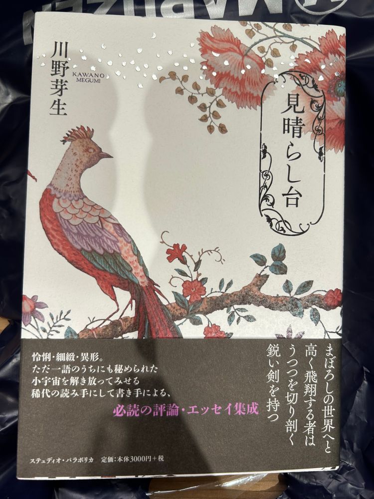 川野芽生『見晴らし台』表紙の写真