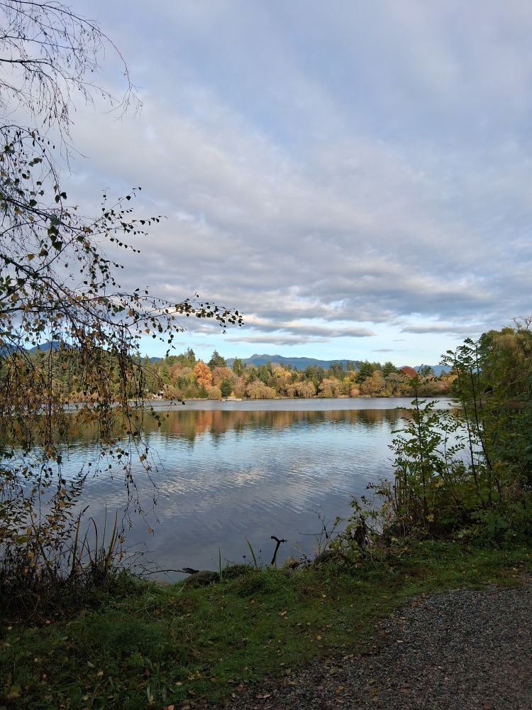 Photo of a lagoon with trees and mountains in the background