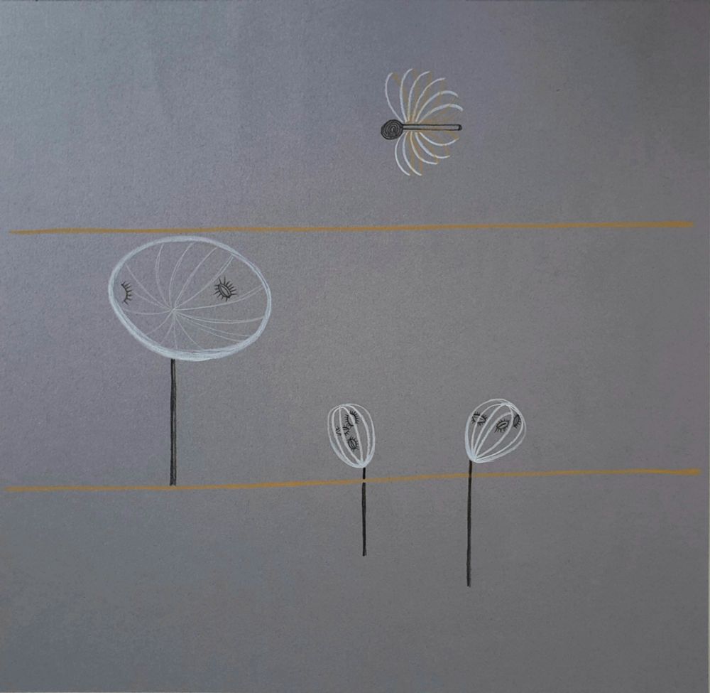 Seed Beastie Sonata 
Drawing with yellow, white and black on grey paper