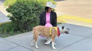 Camille Zapata in a pink dress with a black jacket wearing a cowboy hat smiling at a dog