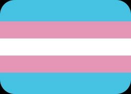 Trans flag