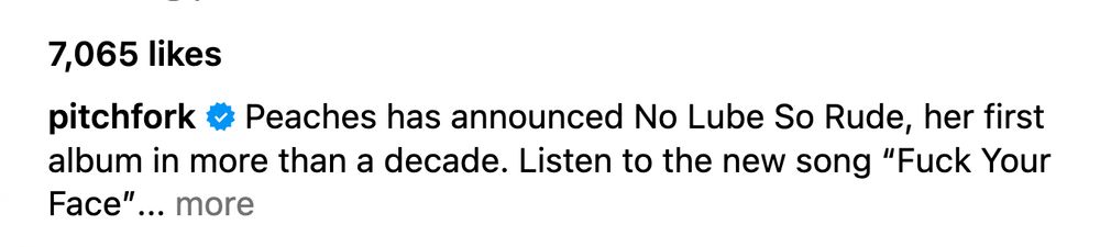 Peaches has announced No Lube So Rude, her first album in more than a decade. Listen to her new song "Fuck Your Face"