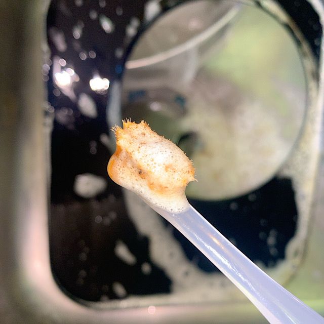 🌟お分かりいただけただろうか⁉️新品歯ブラシをここまでにさせる義実家の換気扇…。お知らせランプ点いた段階で掃除すりゃええのに、しない家…。そこまで掃除嫌いな家は珍しいと思うのは私だけだろうか⁉️