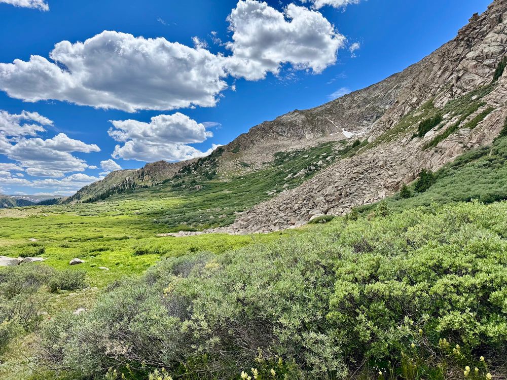 photo taken from behind the bush near the peru creek trail in montezuma, co. 