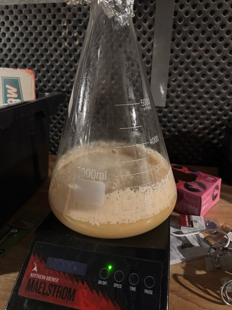 Yeast starter prepped 24 hrs prior to brew day.