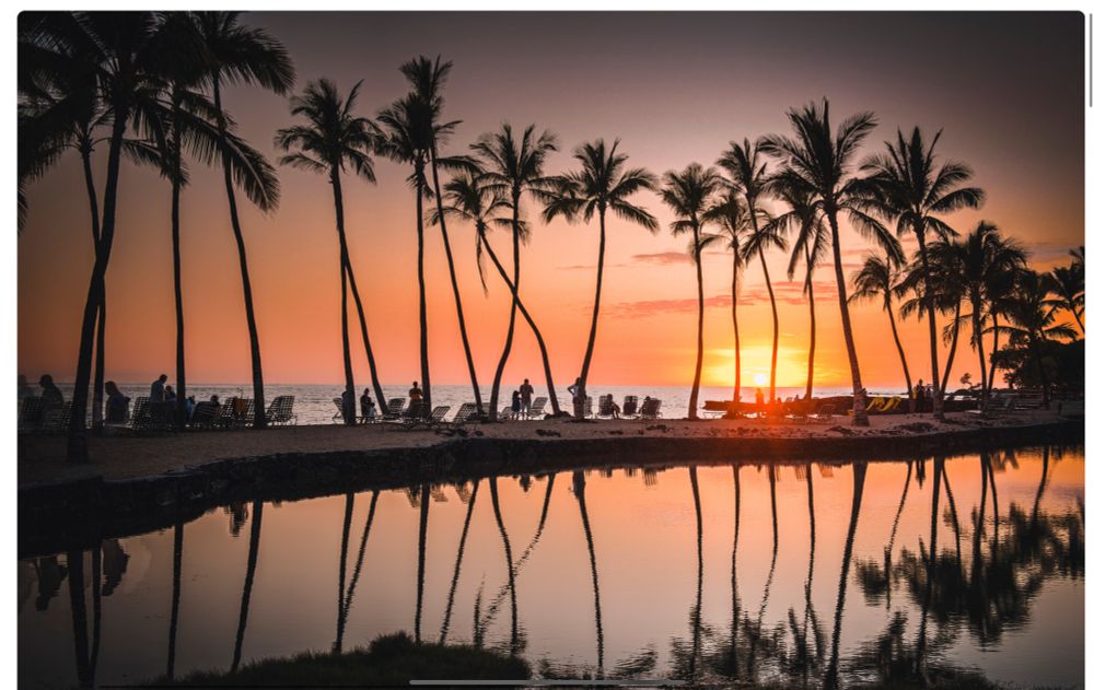 The image depicts a coastal scene with a row of tall palm trees lining the edge of a body of water. The palm trees are evenly spaced and their reflections are visible in the water below. In front of the palm trees, there are several lounge chairs arranged in a line, with people sitting or reclining on them, facing the ocean. The ocean is visible in the background, extending to the horizon. The sun is positioned low in the sky, partially obscured by the palm trees, indicating it is either rising or setting. The scene is framed by the silhouettes of the palm trees and the people, creating a distinct contrast against the bright sky and the reflective water surface.