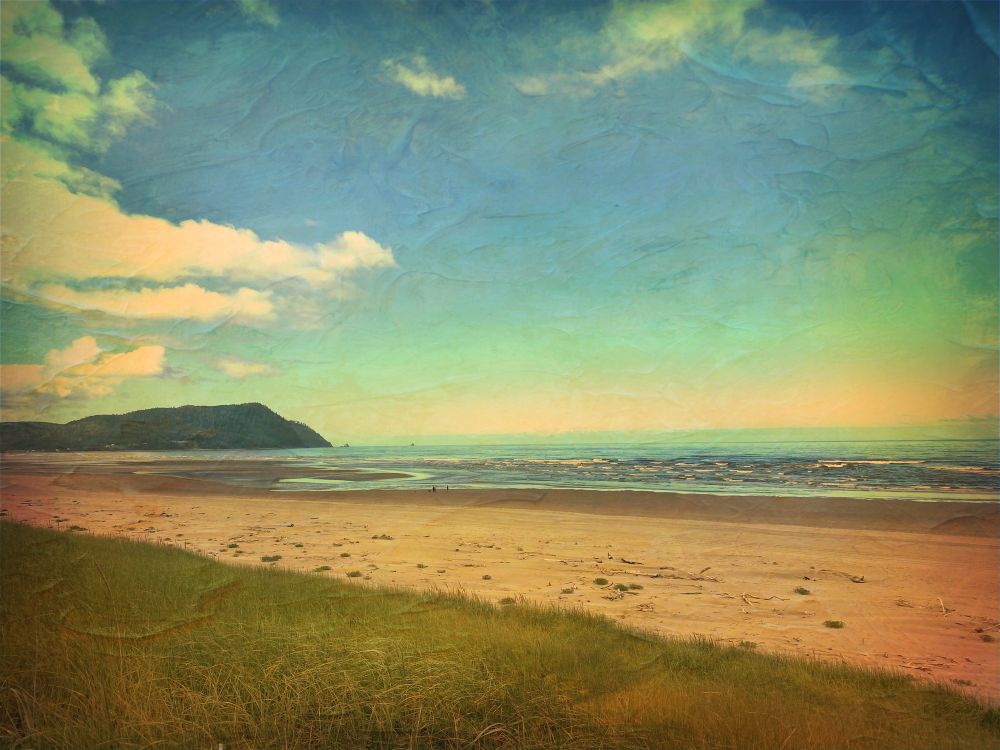 The image depicts a coastal landscape with several distinct elements. In the foreground, there is a stretch of green grass leading to a sandy beach. The beach extends horizontally across the image, with patches of driftwood scattered along the sand. Beyond the beach, the ocean is visible, with gentle waves breaking near the shore. In the background, a forested hill rises on the left side of the image, creating a natural boundary between the land and the sea. The sky above is clear with a few scattered clouds. The horizon line is visible where the ocean meets the sky, providing a sense of depth and distance in the scene.