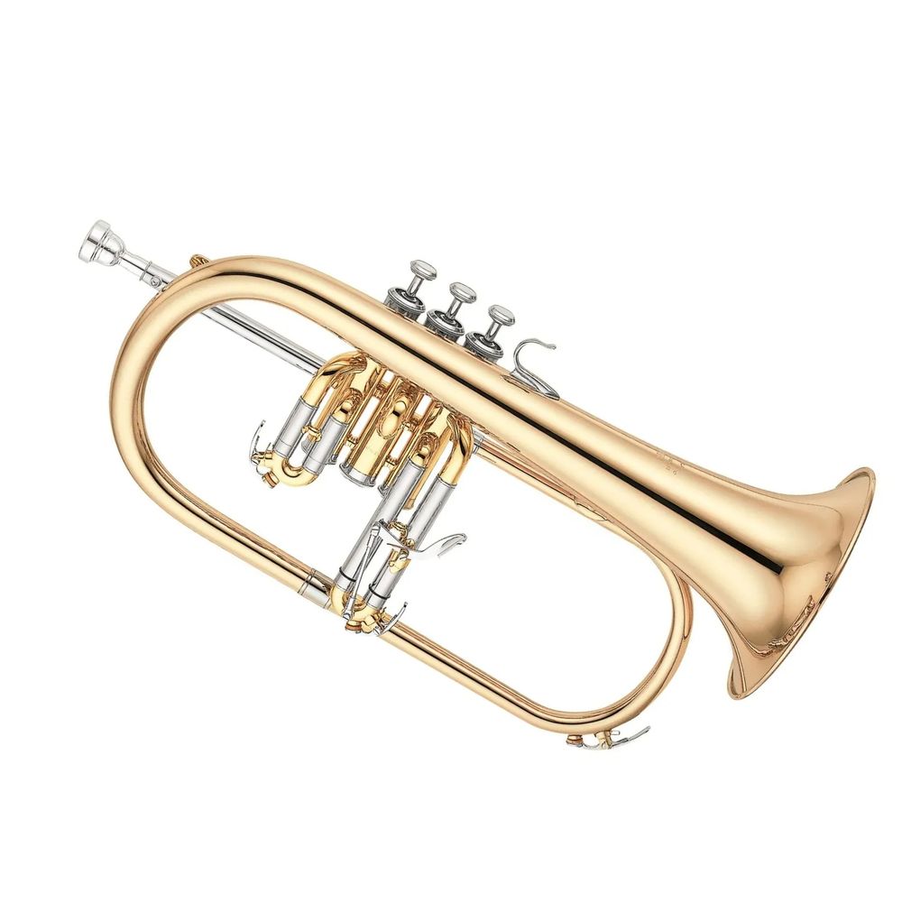 A fucking flugelhorn.