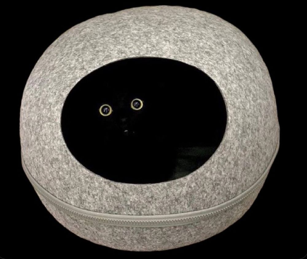 Panier à chat du type igloo. Dedans un chat noir dont on ne voit que les deux yeux jaunes.