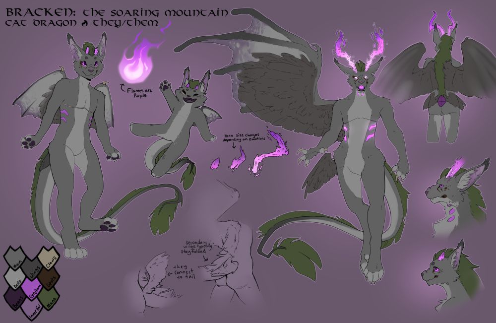 A reference page for a character named Bracken, a grey cat dragon with purple-pink accents, in multiple poses and styles, some more chibi and others more "realistic"