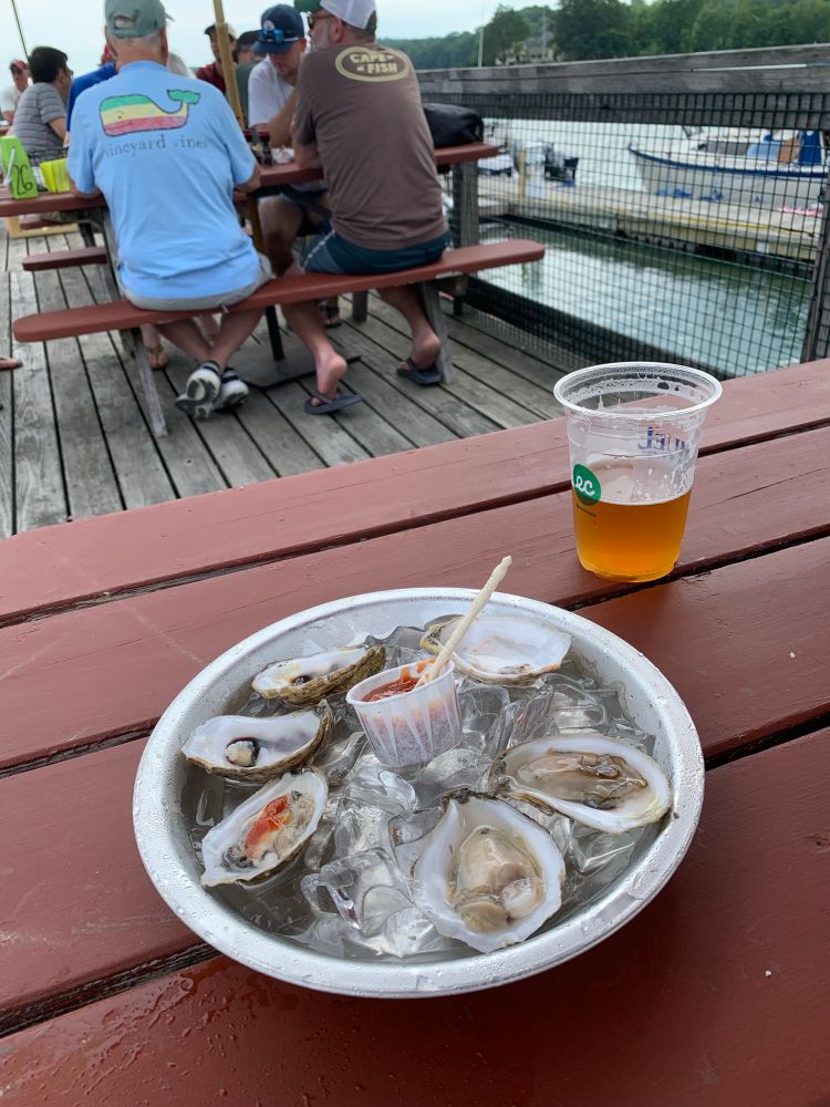 Oysters. Beer