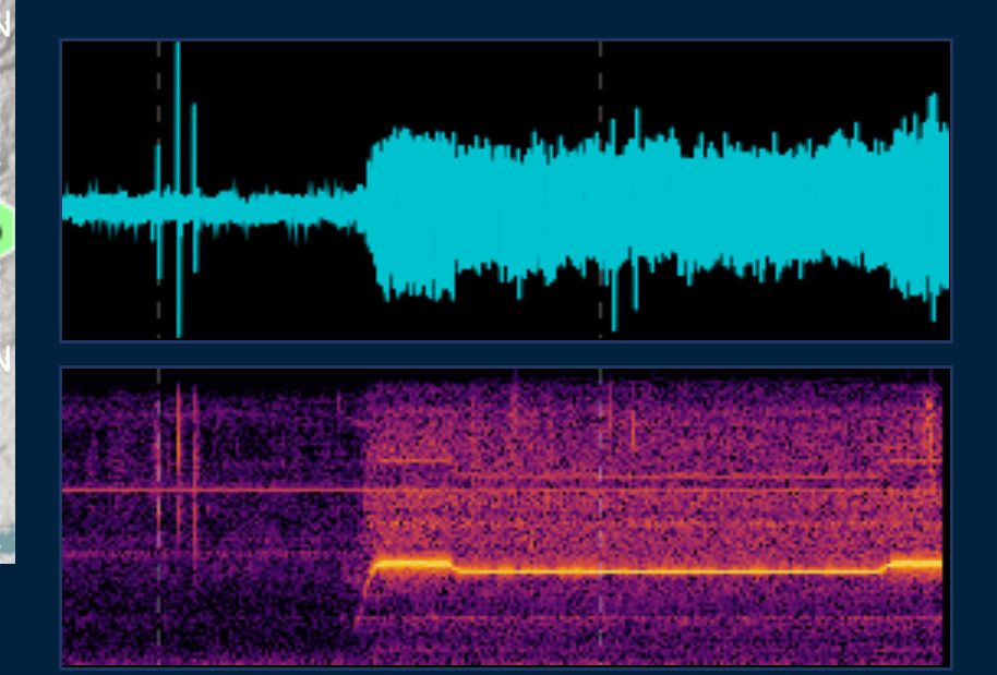 Seismic feed with a sudden burst s characteristic of an explosion. The feed has significant background noise pick up a few minutes later