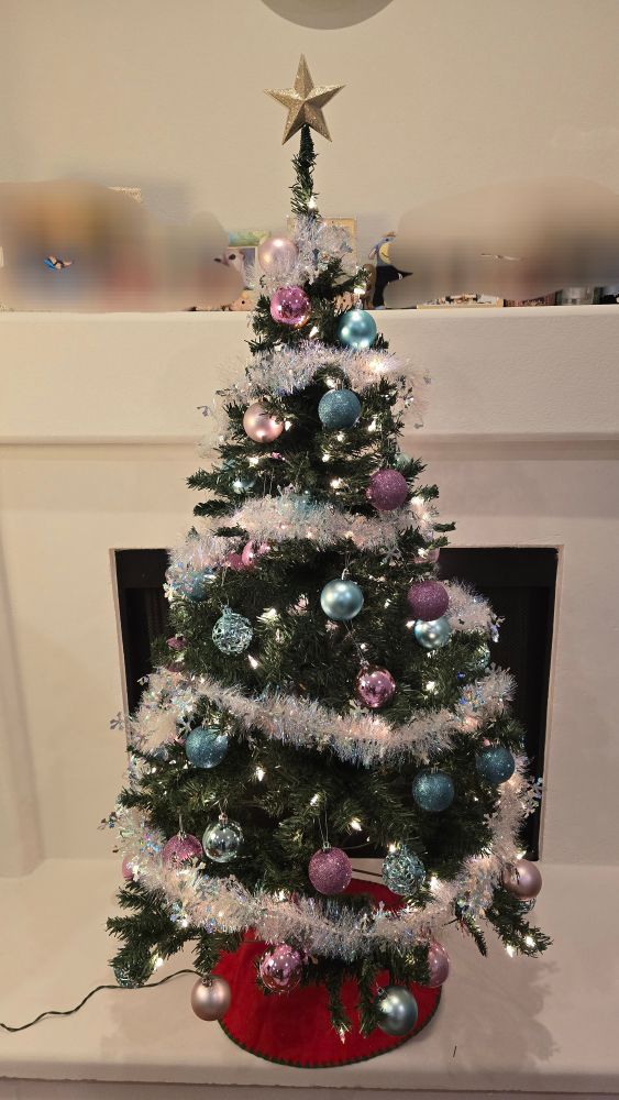 A wee Christmas tree