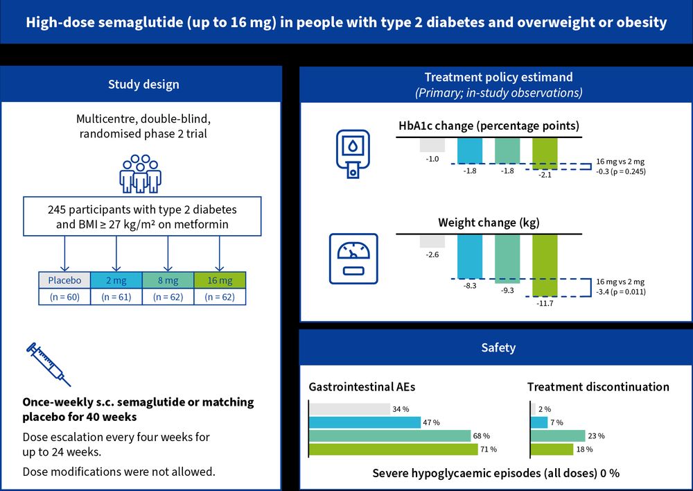 Infographic of a phase 2, double-blind, randomised trial on high-dose semaglutide (up to 16 mg) in 245 people with type 2 diabetes and BMI ≥27 kg/m² on metformin. Participants received once-weekly semaglutide or placebo for 40 weeks.
Study arms: Placebo (n=60), 2 mg (n=61), 8 mg (n=62), 16 mg (n=62).
HbA1c change (%): -1.0 (placebo), -1.8 (2 mg), -1.8 (8 mg), -2.1 (16 mg); 16 mg vs 2 mg: -0.3 (p=0.245).
Weight change (kg): -2.6 (placebo), -8.3 (2 mg), -9.3 (8 mg), -11.7 (16 mg); 16 mg vs 2 mg: -3.4 (p=0.011).
Gastrointestinal AEs: 34% (placebo), 47% (2 mg), 68% (8 mg), 71% (16 mg).
Discontinuation: 2% (placebo), 7% (2 mg), 23% (8 mg), 18% (16 mg).
Severe hypoglycaemia: 0% across all groups.