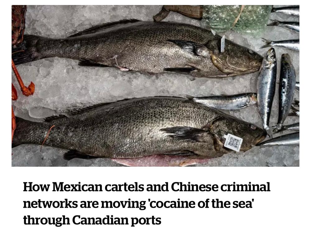 CBC headline “how Mexican cartels and Chinese criminal networks are moving cocaine of the sea through Canadian ports”