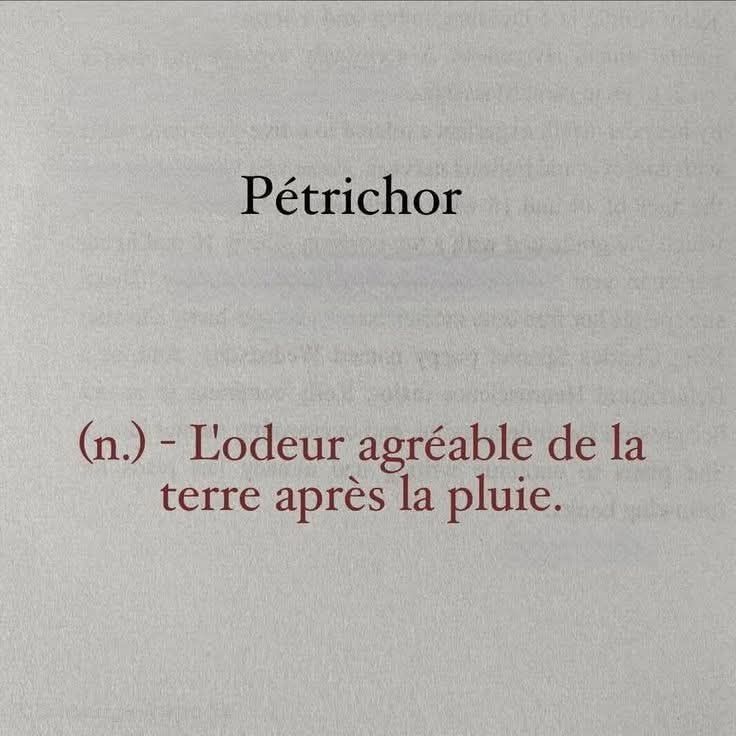 Pétrichor : (n) L'odeur agréable de labterre après la pluie.