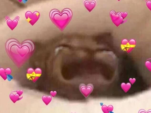 Photoshopped meme of a crying cat surrounded by hearts.