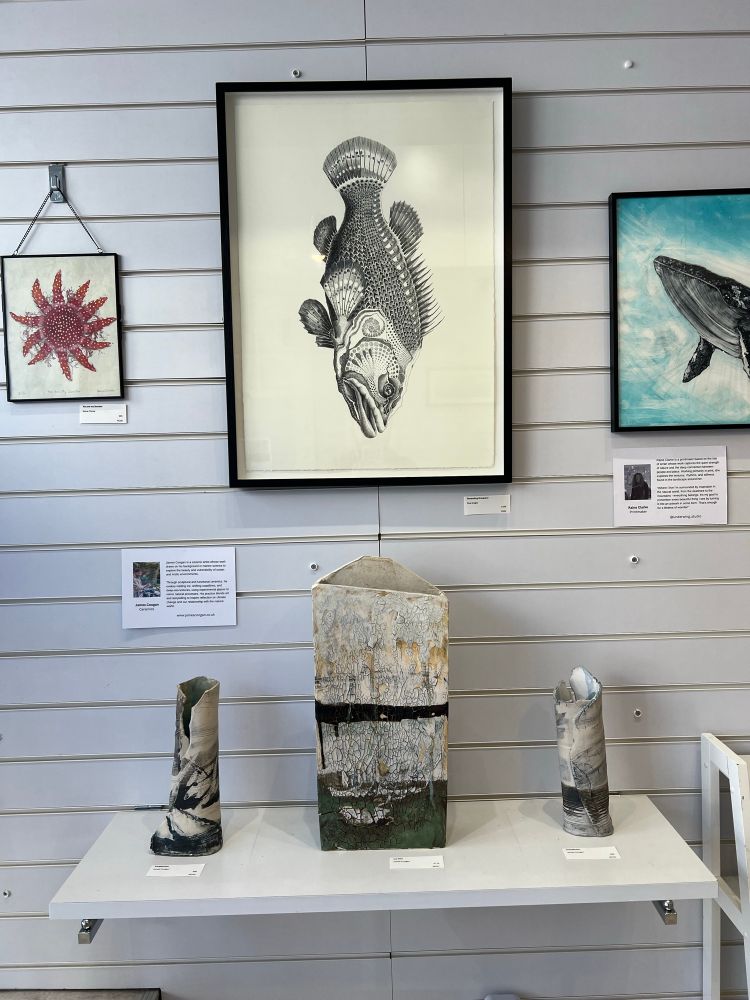 Glacier and Arctic inspired pottery, ink on paper descending grouper, linoprint sunstar and whale.