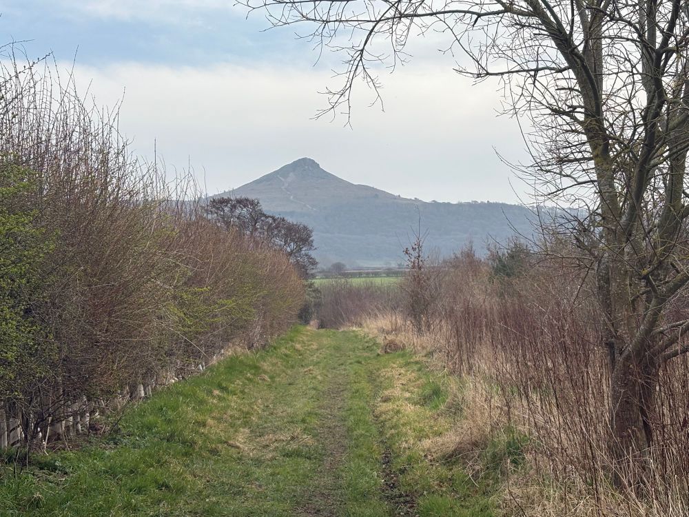 Roseberry Topping getting nearer. The foreground is a grassy track lined by hedgerows. 