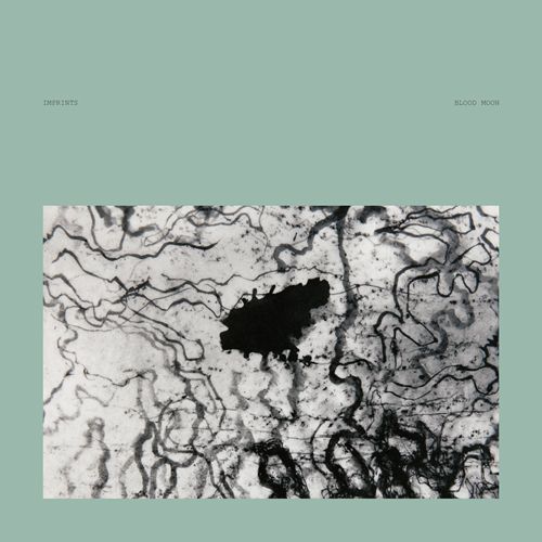 Cover of Blood Moon by Imprints (this version released on Data Discs)