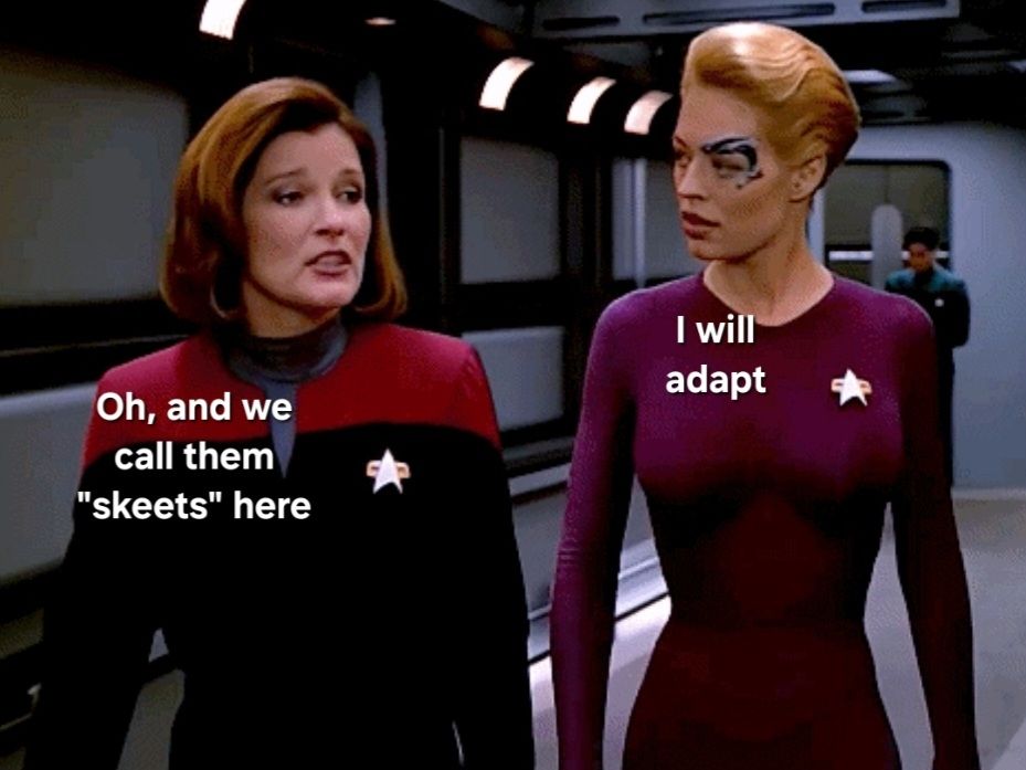 Captain Janeway: Oh, and we call them "skeets" here.

Seven of Nine: I will adapt.
