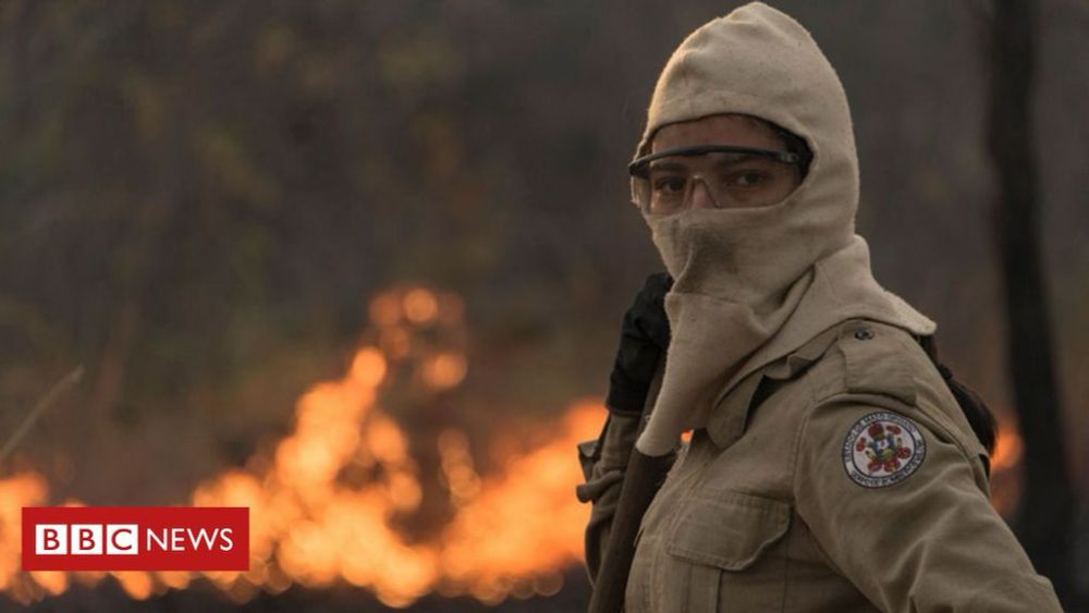 O que é o combate do fogo com o fogo, técnica usada no Pantanal e distorcida em vídeo que circula no WhatsApp - BBC News Brasil