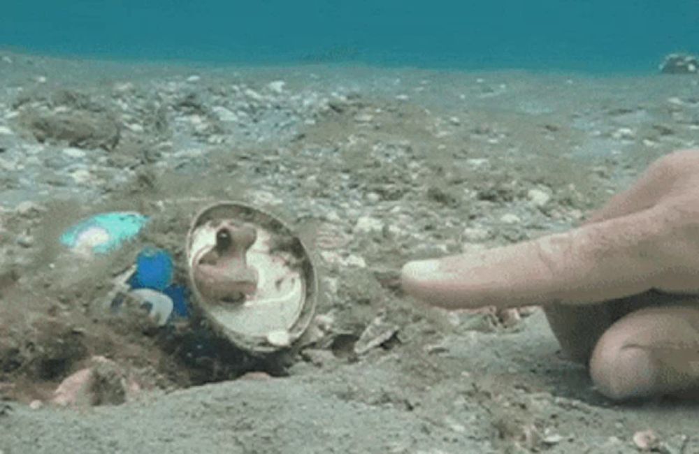 a person 's finger is pointing at a can of soda in the sand