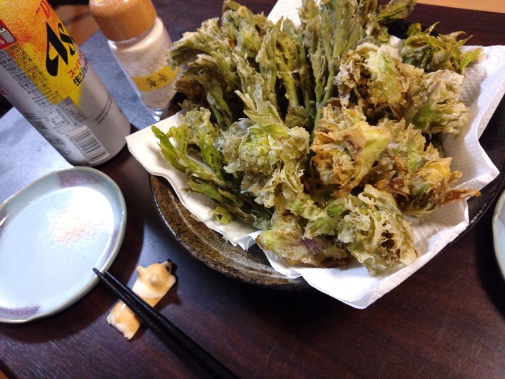 山菜の天ぷら
あとビール！！