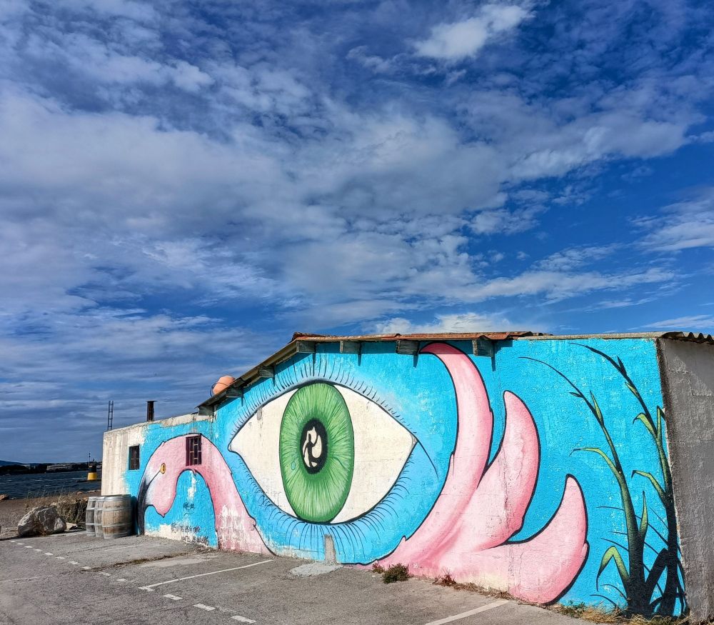 Street Art flamand rose et oeil sur bleu au bord de l'étang de Thau 