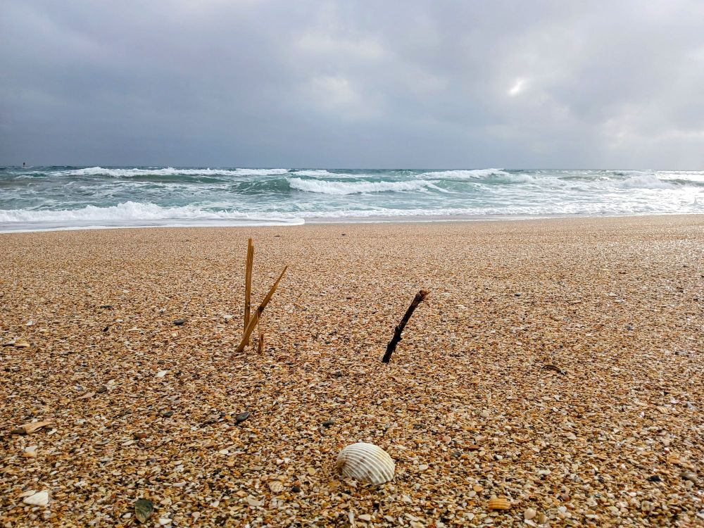 Plage de sable, coquillages devant la Méditerranée - Sète 