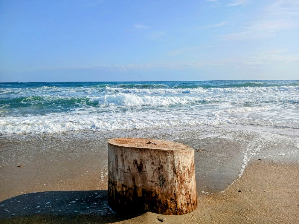 Un rondin de bois sur la plage à Sète devant les vagues et sous le ciel bleu 