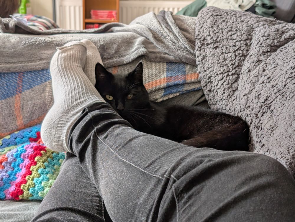 A cat with one brown eye and one green eye watching sleepily from my foot on the sofa. The cat does not belong to me and only shows up for a nap and a cuddle. 