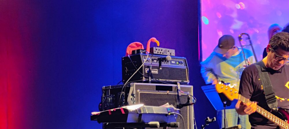 A plastic flamingo perched someone's amp.