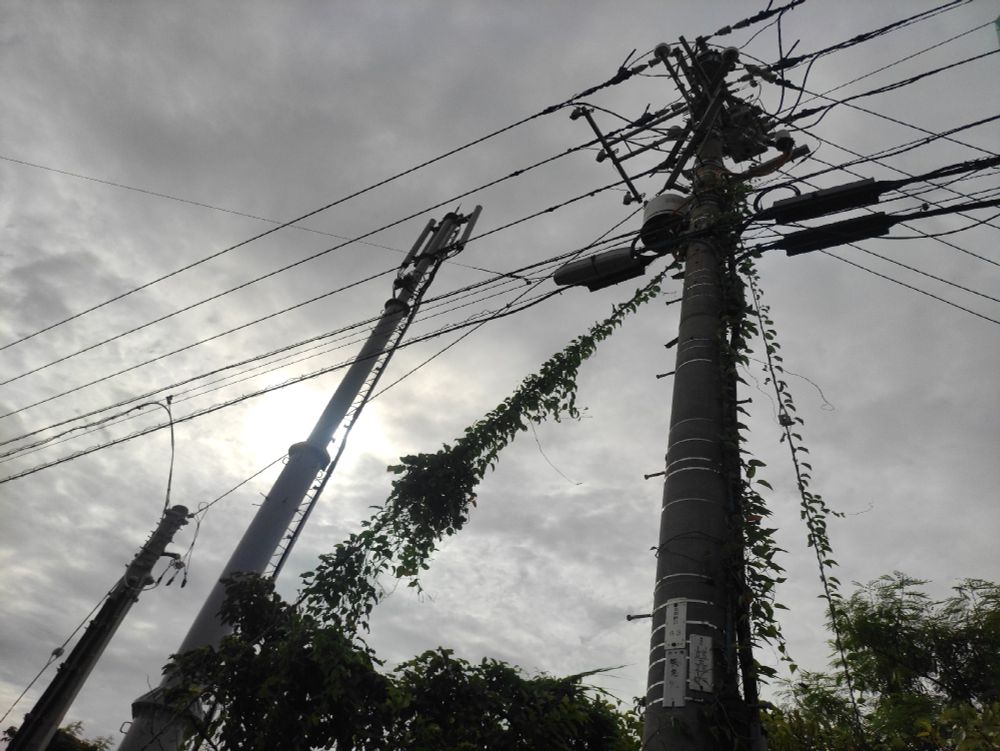 確か沖縄の電柱