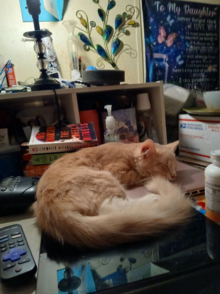 A fuzzy ginger cat is sleeping on a table.