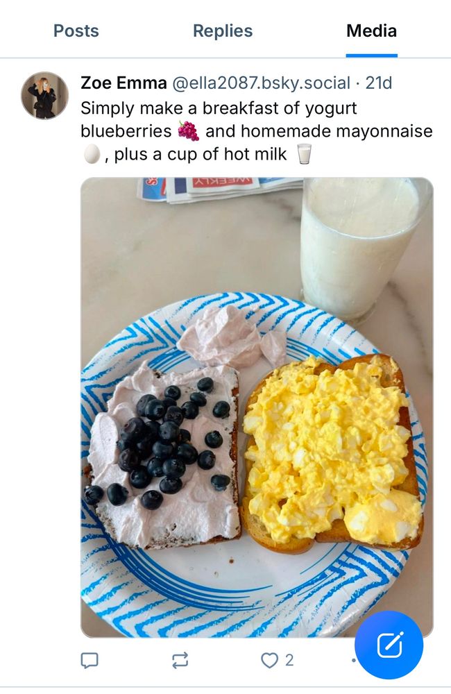 Picture purporting to show yogurt, blueberries, warm milk and homemade mayo (?!) but instead shows cream cheese, blueberries, eggs, milk, and toast.  