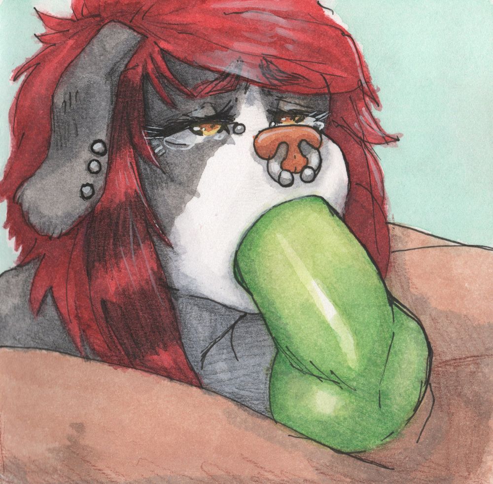 Antro border collie with several piercings sucking mega cock