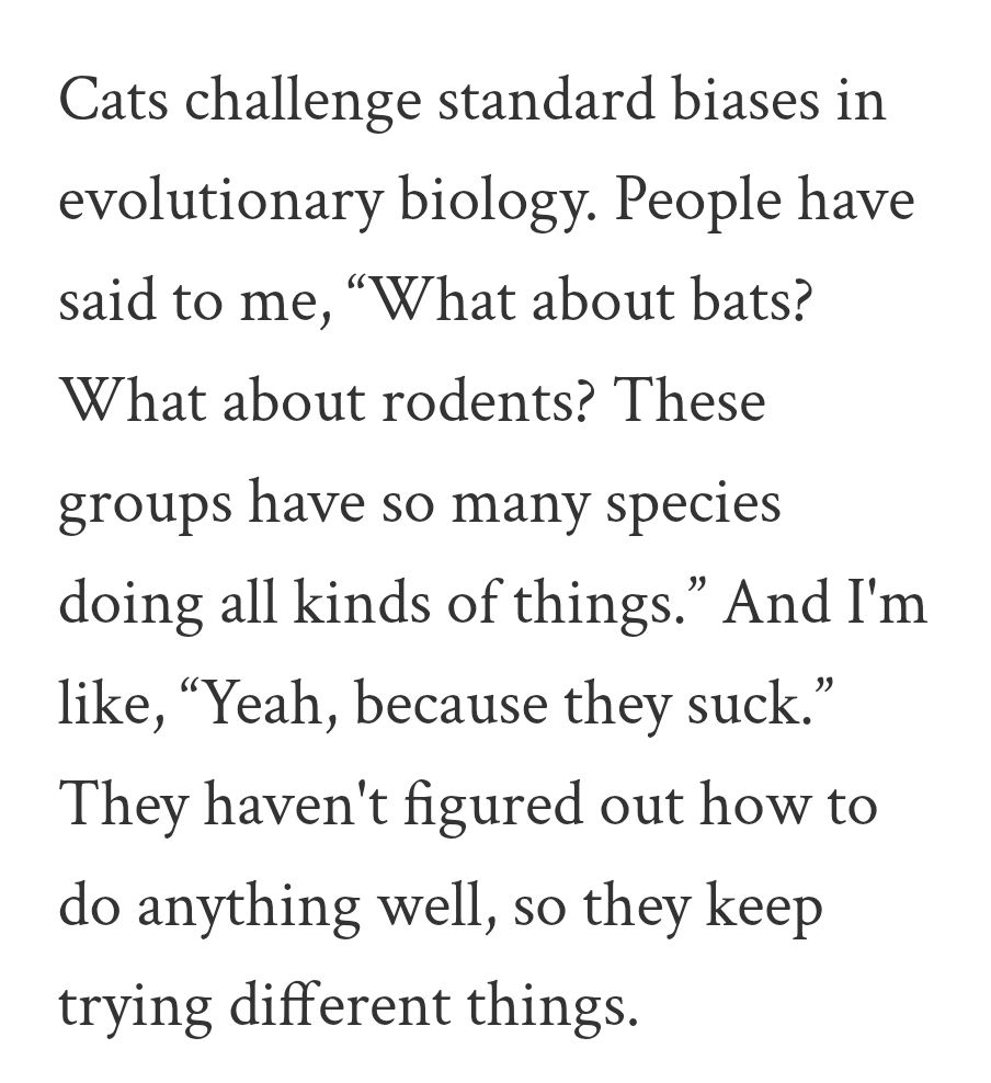 Cats challenge standard biases in evolutionary biology. People have said to me, “What about bats? What about rodents? These groups have so many species doing all kinds of things.” And I'm like, “Yeah, because they suck.” They haven't figured out how to do anything well, so they keep trying different things.