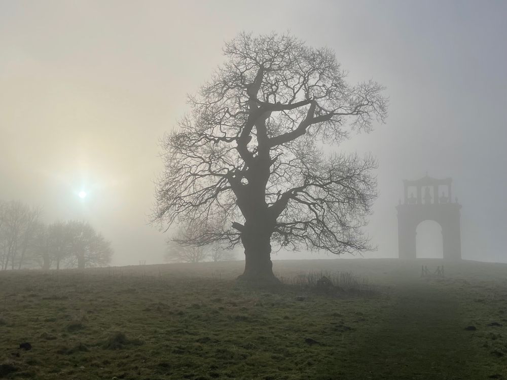 Centre of picture: bate veteran oak tree in foggy landscape, low watery sun to left, blurred image of Hadrian’s arch to right. 