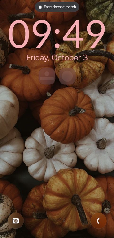Phone screen background of multiple small multicolored pumpkins 