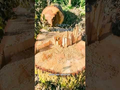 Telecabina Benasque-Cerler