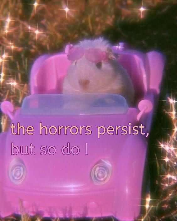 A small white hamster wearing pink sunglasses is driving in a small plastic convertible across a sparkly background. The text reads, "the horrors persist, but so do I"