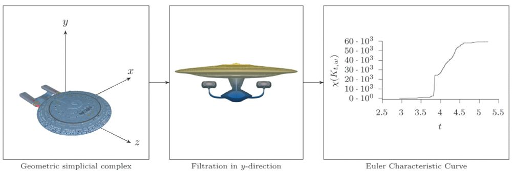 An overview of the Euler Characteristic Transform, illustrated for a single Euler Characteristic Curve, i.e., the calculation of Euler characteristics along a single direction.