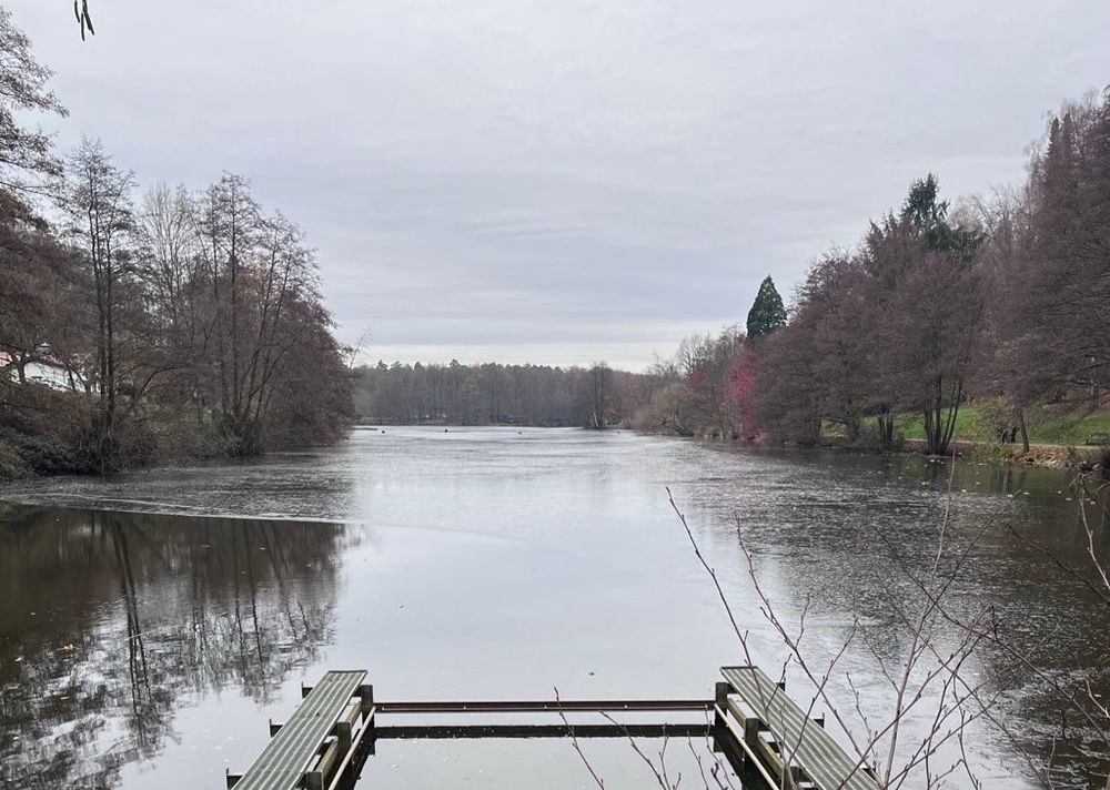 Blick über den zum Teil gefrorenen See, links und rechts Bäume und Spazierwege, im Hintergrund ebenfalls Wald, der Himmel ist grau-bedeckt.