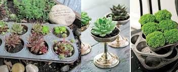 Verschiedene Backformen und Weinkelche die mit Steingartepflanzen bepflanzt wurden.