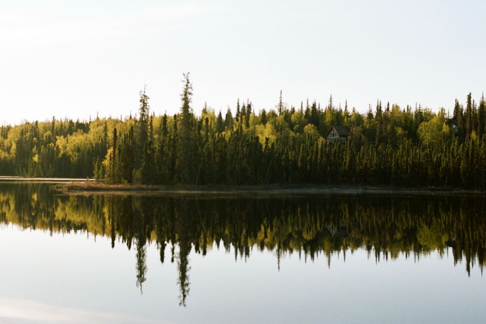 A serene lake lined with trees