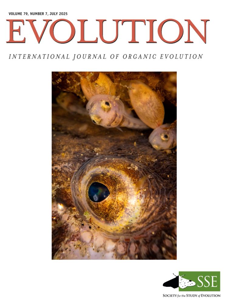 The cover of the journal, Evolution, which shows a closeup of a male fish caring for his young