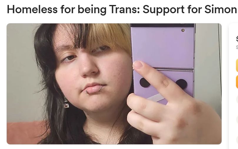 The picture is a screenshot of my brother Simon's gofundme, with text above that says "Homeless for being Trans: Support for Simon"