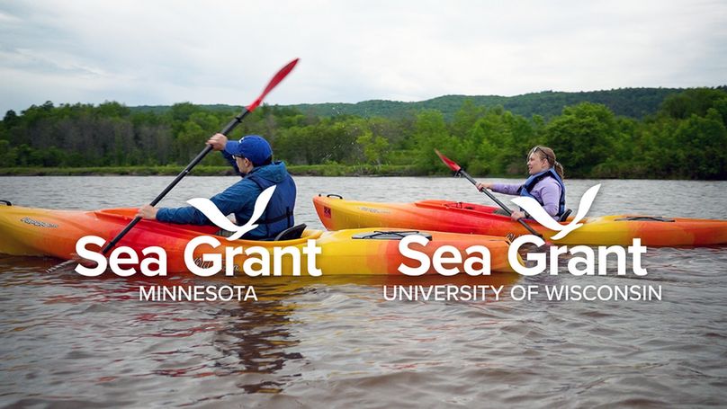 Two kayaks, two people, paddling on water with forested shoreline in the background. Credit: MNSG.